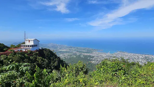 Botanical garden vista