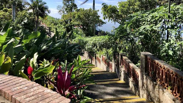 Botanical garden flora